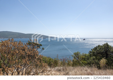 large sea vessel sailing cargo transportation Black Sea, port, Krasnodar Territory, Novorossiysk large sea vessel sailing cargo transportation Black Sea, port, Krasnodar Territory, Novorossiysk 125410460