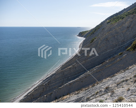 Beautiful Black Sea coast with rocks and plants Beautiful Black Sea coast with rocks and plants 125410544