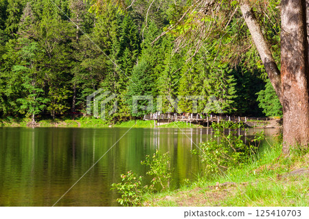 landscape with lake and coniferous forest. vacation season. synevyr national park in the afternoon. carpathian mountains in summer. wonderful scenery reflecting in the calm water landscape with lake and coniferous forest. vacation season. synevyr national park in the afternoon. carpathian mountains in summer. wonderful scenery reflecting in the calm water 125410703