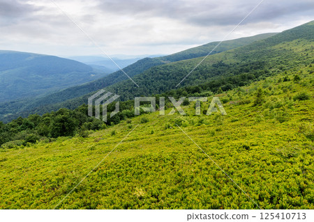 alpine scenery of ukrainian carpathians in summer. mountain smooth also called runa. rolling landscape beneath an overcast sky. rainy weather forecast. view in to valley from steep grassy slope alpine scenery of ukrainian carpathians in summer. mountain smooth also called runa. rolling landscape beneath an overcast sky. rainy weather forecast. view in to valley from steep grassy slope 125410713