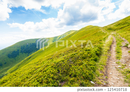 path up the steep hill. scenic destination for tourism. travel background with carpathian mountain landscape in summer. grassy alpine scenery of ukraine on a sunny day with clouds on the blue sky path up the steep hill. scenic destination for tourism. travel background with carpathian mountain landscape in summer. grassy alpine scenery of ukraine on a sunny day with clouds on the blue sky 125410718