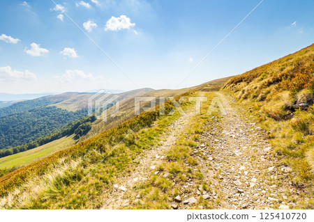 dirt road in carpathian mountains. countryside landscape. krasna ridge in summer. scenic view 125410720