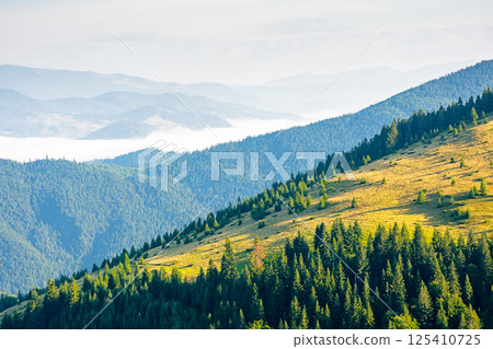 mountain landscape of ukrainian alps in summer. morning scenery with fog in the distant valley. forest on the steep slope of chornohora ridge mountain landscape of ukrainian alps in summer. morning scenery with fog in the distant valley. forest on the steep slope of chornohora ridge 125410725