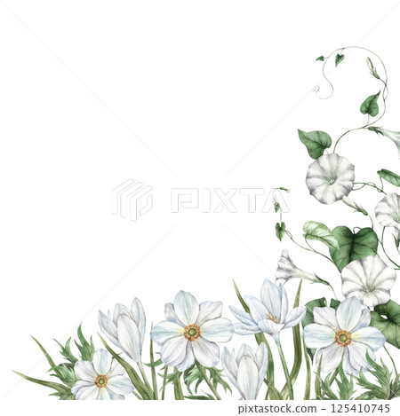 Delicate white anemones, wild morning glory, crocuses and green wild herbs. Watercolor botanical frame with flowers, suitable for wedding invitations, greeting cards, branding, floral packaging. Delicate white anemones, wild morning glory, crocuses and green wild herbs. Watercolor botanical frame with flowers, suitable for wedding invitations, greeting cards, branding, floral packaging. 125410745