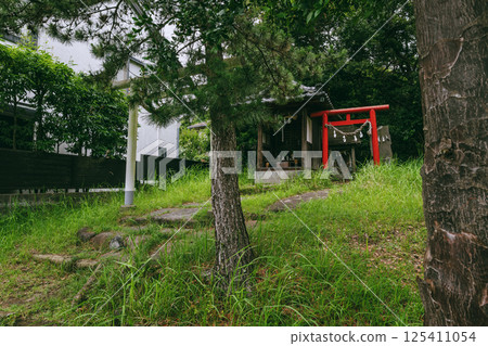 The torii gate of Moriyama Shrine surrounded by greenery in Hayama Town The torii gate of Moriyama Shrine surrounded by greenery in Hayama Town 125411054