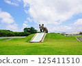 Nmamaki Yamaneko Park, Iriomote Island, Okinawa Prefecture 125411510