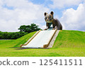 Nmamaki Yamaneko Park, Iriomote Island, Okinawa Prefecture 125411511