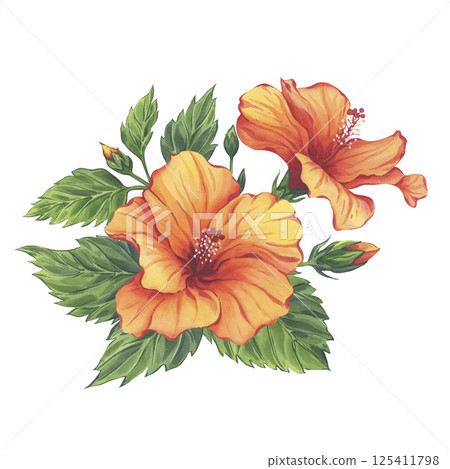Yellow hibiscus watercolor branch with flowers, leaves and buds isolated on white background. Hand-drawn illustration. The composition is ideal for tropical branding, summer packaging 125411798