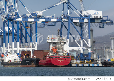 Novorossiysk, Russia 08.18.2023. Port cranes, Black Sea, port, Krasnodar Territory, Novorossiys 125411803