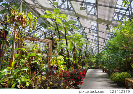 長島度假村名花之裡[海棠花園] 125412579