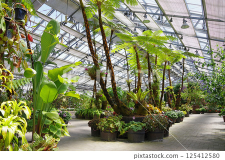 長島度假村名花之裡[海棠花園] 125412580