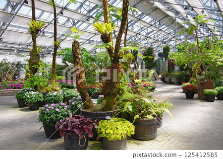 Nagashima Resort Nabana no Sato [Begonia Garden] 125412585