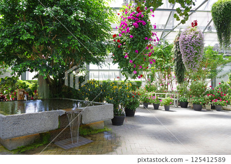 Nagashima Resort Nabana no Sato [Begonia Garden] 125412589