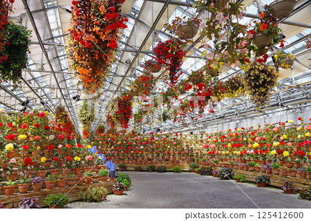 Nagashima Resort Nabana no Sato [Begonia Garden] 125412600