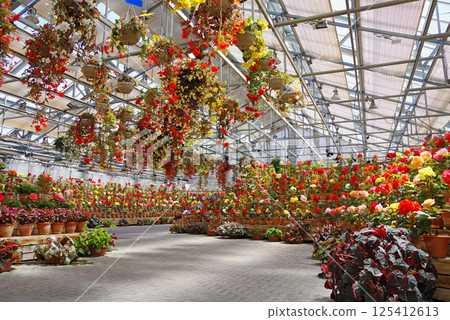 Nagashima Resort Nabana no Sato [Begonia Garden] 125412613