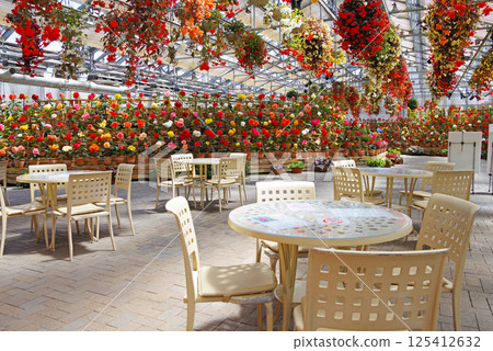 Nagashima Resort Nabana no Sato [Begonia Garden] 125412632