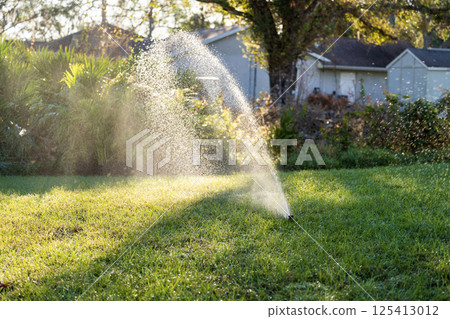 Lawn grass watering with automated sprinkler. Keeping green backyard during dry season 125413012