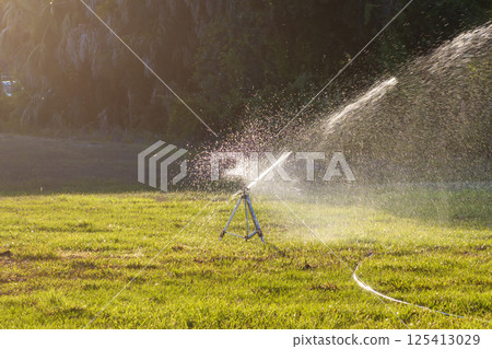 Lawn grass watering with automated sprinkler. Keeping green backyard during dry season 125413029