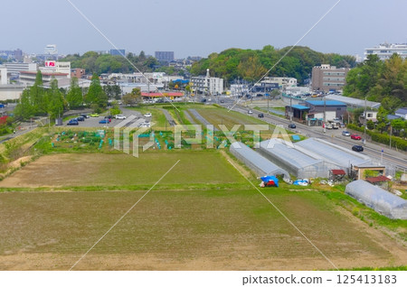 千葉縣我孫子市手賀沼2025年4月 125413183
