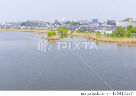 Teganuma, Abiko City, Chiba PrefectureApril 2025 Teganuma, Abiko City, Chiba PrefectureApril 2025 125413187