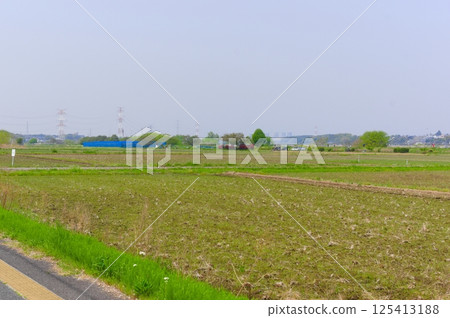 千葉縣我孫子市手賀沼2025年4月 125413188