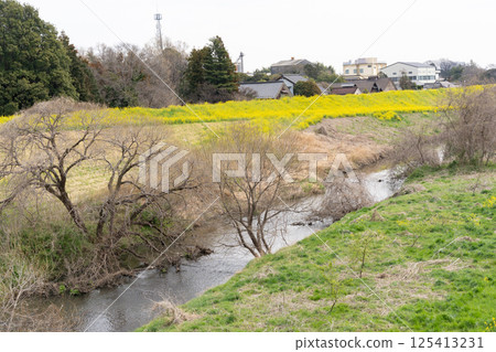 利根運河的春天（千葉縣流山市大通公園附近/2025年4月） 125413231