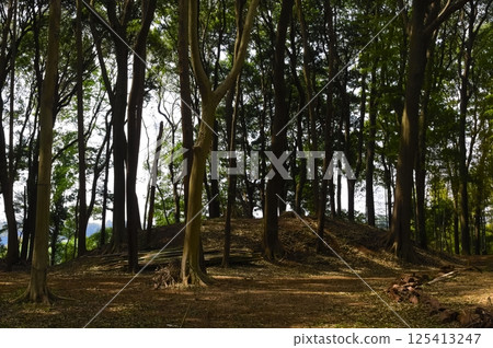 Around Kanazuka Tomb, Abiko City, Chiba Prefecture April 2025 Around Kanazuka Tomb, Abiko City, Chiba Prefecture April 2025 125413247