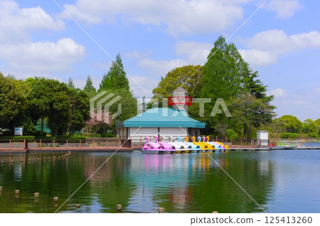 千葉縣柏市柏之葉公園週邊 2025年4月 125413260