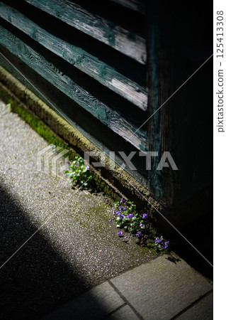 小森的城市景觀 小森的城市景觀 125413308