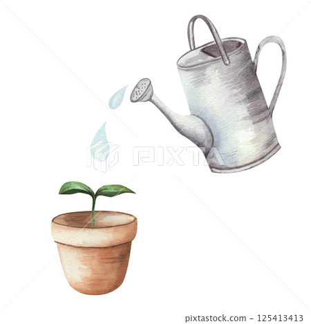 Watering plant or seedling in pot with fresh water from metal watering can. Drops of water, clay pot for seedlings. Watercolor illustration, isolated on white background. For flyer, print, label Watering plant or seedling in pot with fresh water from metal watering can. Drops of water, clay pot for seedlings. Watercolor illustration, isolated on white background. For flyer, print, label 125413413