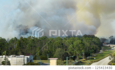 Emergency service firetrucks extinguishing wildfire burning in Florida jungle woods. Fire department vehicles trying to put down flames in forest. Toxic smoke polluting atmosphere 125413430
