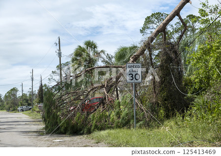 Damaged power lines after hurricane wind broke tree limbs in Florida suburban area. Electricity outage as consequences of natural disaster 125413469