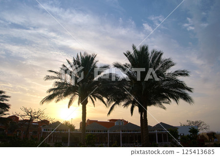 Beautiful green coconut palm trees on tropical beach against evening sky. Summer vacation concept 125413685