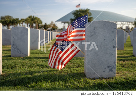 American national military cemetery with rows of white tomb stones and USA flag on green grass lawn. Memorial Day concept American national military cemetery with rows of white tomb stones and USA flag on green grass lawn. Memorial Day concept 125413702