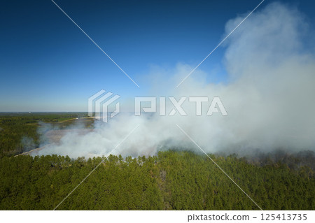 Aerial view of white smoke from forest fire rising up polluting atmosphere. Natural disaster concept 125413735