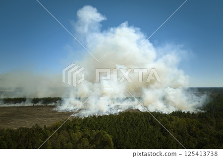 Aerial view of white smoke from forest fire rising up polluting atmosphere. Natural disaster concept 125413738