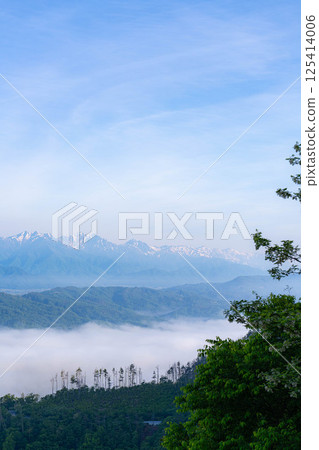 【雲海素材】從長峰山看到的初夏安曇野市的雲海【長野縣】 125414006