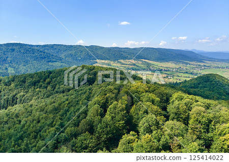 Aerial view of mountain hills covered with dense green lush woods on bright summer day. 125414022