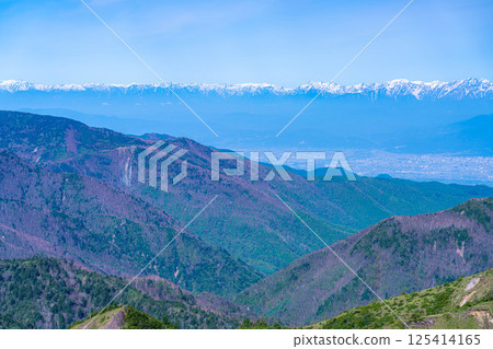 [Mountain material] View of the Zenkoji Plain from Shiga Kogen in early summer [Nagano Prefecture] 125414165