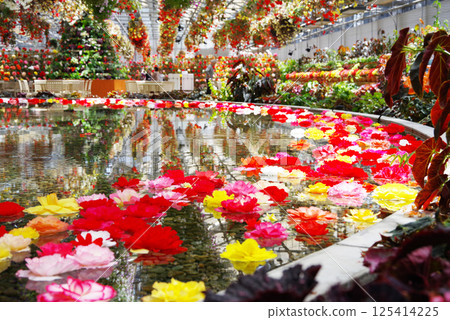 Nagashima Resort Nabana no Sato [Begonia Garden] 125414225