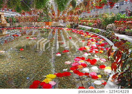 Nagashima Resort Nabana no Sato [Begonia Garden] 125414229