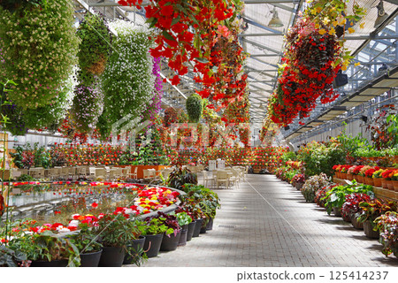 Nagashima Resort Nabana no Sato [Begonia Garden] 125414237