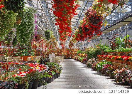 Nagashima Resort Nabana no Sato [Begonia Garden] 125414239
