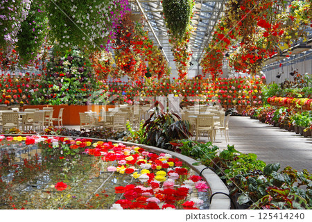 Nagashima Resort Nabana no Sato [Begonia Garden] 125414240