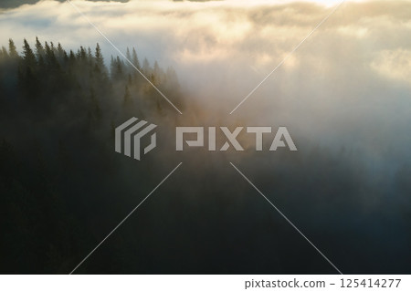 Aerial view of bright foggy morning over dark mountain forest trees at autumn sunrise. Beautiful scenery of wild woodland at dawn 125414277