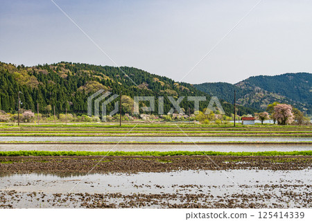 Rural scenery in Yogo, Kohoku region, Shiga Prefecture 125414339