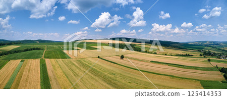 Aerial landscape view of green and yellow cultivated agricultural fields with growing crops on bright summer day Aerial landscape view of green and yellow cultivated agricultural fields with growing crops on bright summer day 125414353