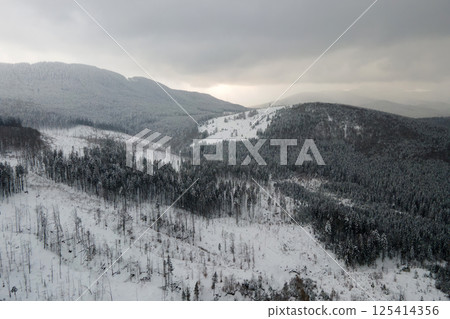 Aerial foggy landscape with evergreen pine trees covered with fresh fallen snow after heavy snowfall in winter mountain forest on cold quiet evening. 125414356