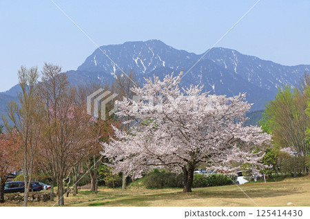 Chihiro Art Museum Azumino in the spring when cherry blossoms bloom 125414430