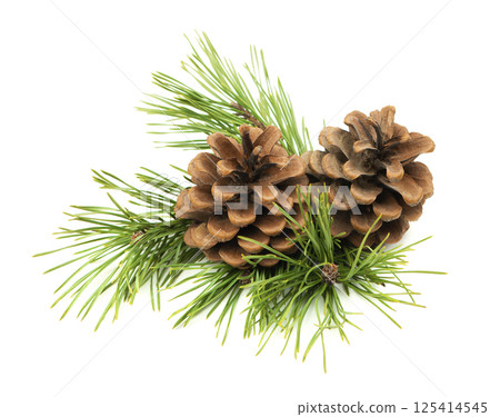 Festive fir branches and cones in a Christmas composition, isolated on a white background with shadow for decoration projects. Festive fir branches and cones in a Christmas composition, isolated on a white background with shadow for decoration projects. 125414545